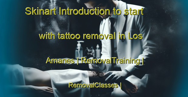 Skinart Introduction to start with tattoo removal in Los Amanes | RemovalTraining | RemovalClasses | SkinartTraining-Mexico